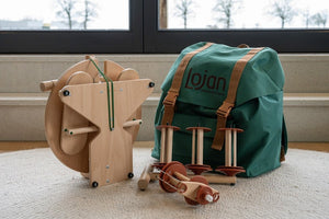 Lojan Travel Buddy, including backpack