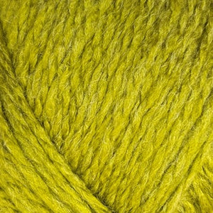 Stylecraft Aran ReLove Pea Shoot