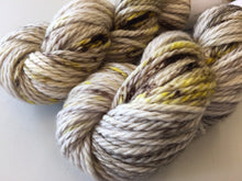 Load image into Gallery viewer, Superwash Chunky Merino, 100g/3.5oz, Ida
